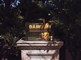 BAMBUM 12 Rolls Pack — on marble pedestal in palazzo garden