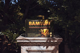 BAMBUM 12 Rolls Pack — on marble pedestal in palazzo garden