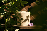 BAMBUM 12 Rolls Pack — bamboo at its source