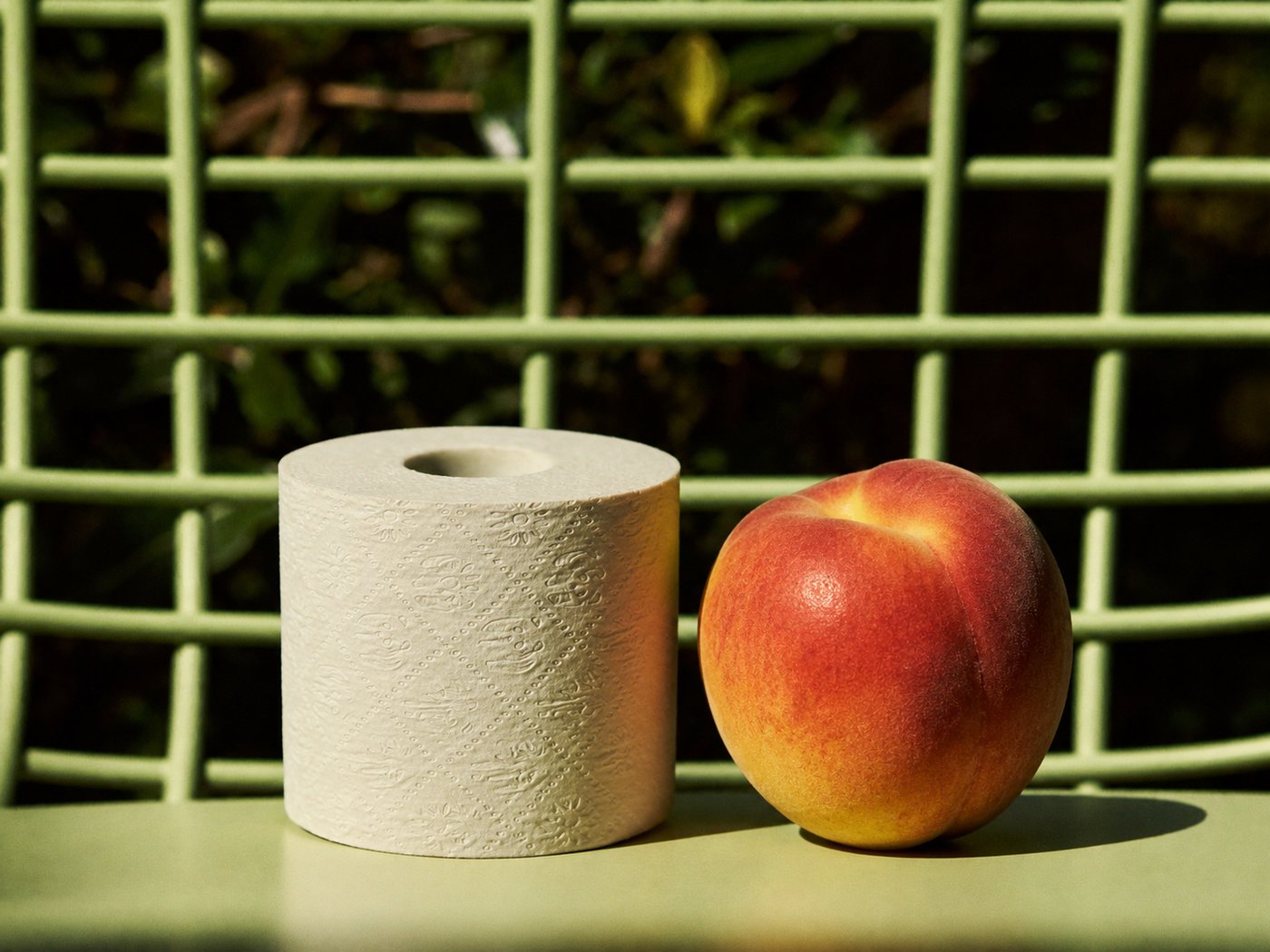 Your Bathroom Deserves This